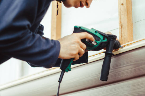 Best Custom Trim and Detailing for Siding  in Forest Hills, MI